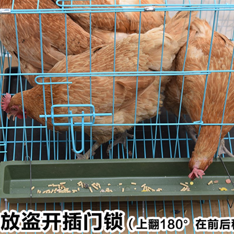鸡笼子家用大号养殖场家禽蛋鸡笼自动滚蛋鸡笼田鸡笼运输鸡舍鸡笼