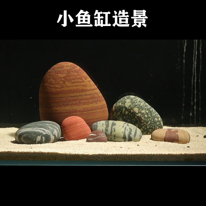 小鱼缸天然花纹鹅卵石造景红色珊瑚南美原生草缸水族装饰石头摆件