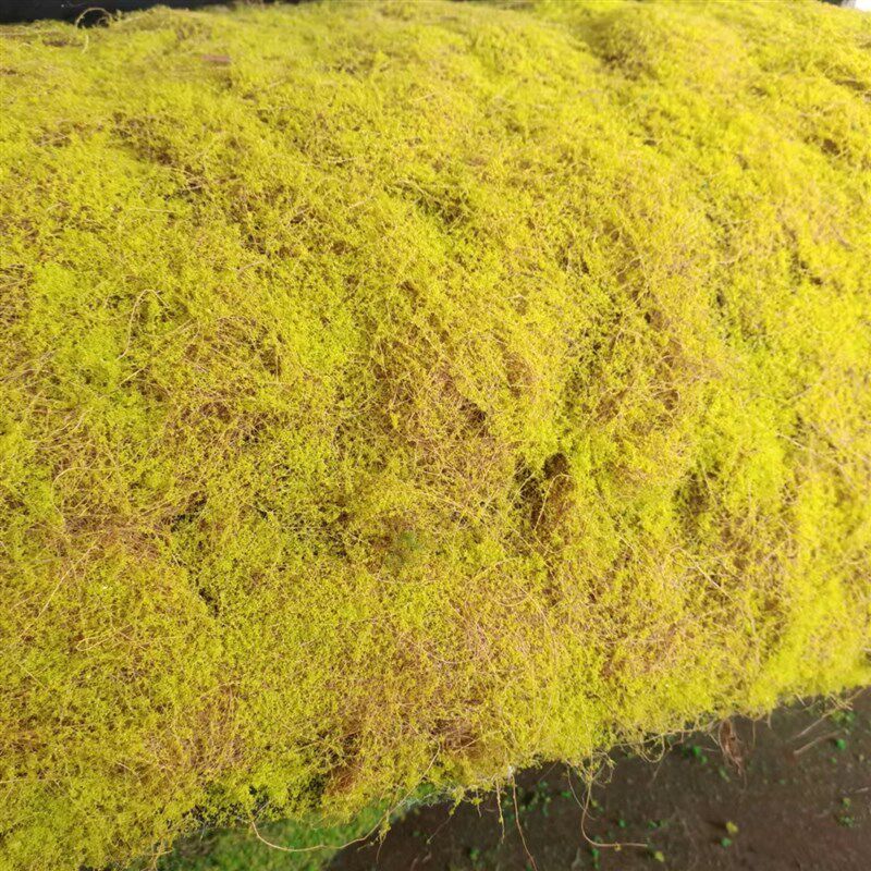 仿真苔藓草坪棕丝青苔藓橱窗微景观植物墙人工假草皮黄绿永生造景