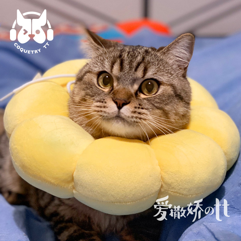 TT猫狗绝育伊丽莎白圈软布头套项圈宠物搞怪拍摄大脖圈防舔耻辱圈