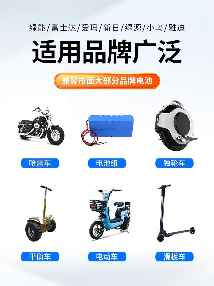 锂电池电瓶车充电器48V2A60V36V72V3A电动车智能滑板车代驾车通用