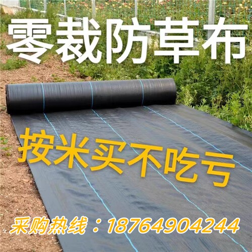 零裁防草布除草布加厚抗老化果园蔬菜种植遮草布透气透水盖草布