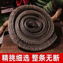 （不是干的）养殖场地现售水律蛇 初级农副产品 泡酒煲汤口味原料