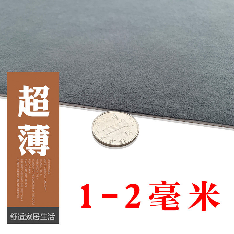 薄地毯不卡门玄关进门地垫入户门垫超薄吸水防滑卫生间门口踩脚垫
