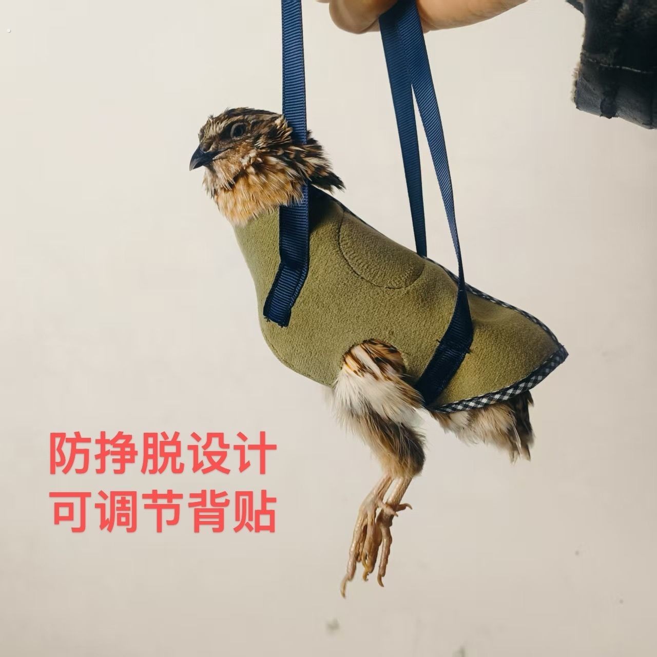 鹌鹑手把袋 鹦鹉手把袋 鹌鹑出门神器 可控食 练胆量 做工精致