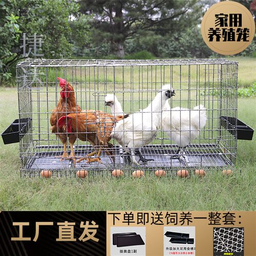 鸡笼子家用加粗大号养殖笼折叠鸭笼鹅笼狗笼自动滚蛋鸡笼厂家直发