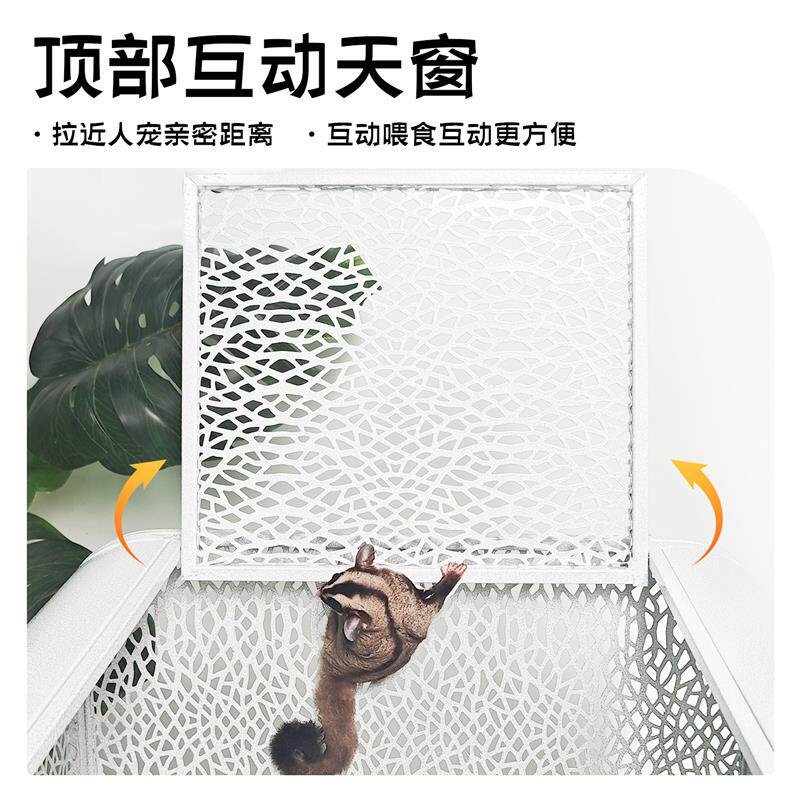 蜜袋鼯笼子专用防越狱饲养笼鹦鹉松鼠花枝鼠笼子生态鸟笼大空间
