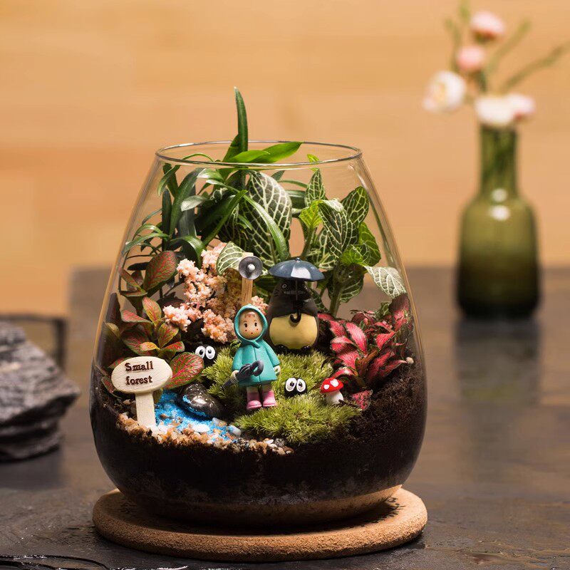 微景观苔藓生态瓶龙猫生日礼物成品桌面绿植养眼