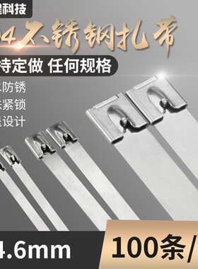 不锈钢扎带 活扣 不锈钢扎带 自锁 4.6mm 304不锈钢扎带 束线带