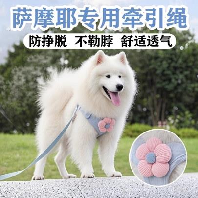 萨摩耶专用牵引绳胸背遛狗链子中大型犬外出狗狗背带背心宠物用品