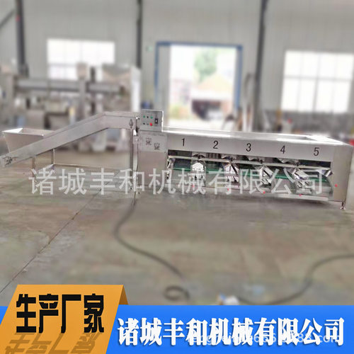 滚杠大小果分级机 土豆清洗分级机 红薯清洗分级机 农产品分级机