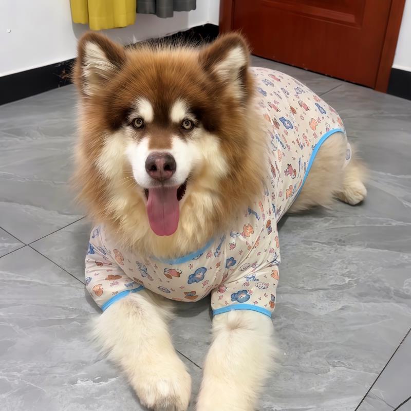 阿拉斯加专用狗狗四脚衣服春夏天春季薄款防晒防掉毛大型犬萨摩耶