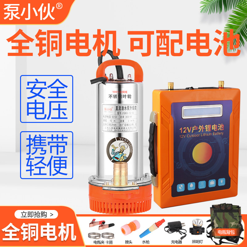高扬程直流潜水泵12V24V电瓶电动车48伏农用灌溉小型抽水机高压