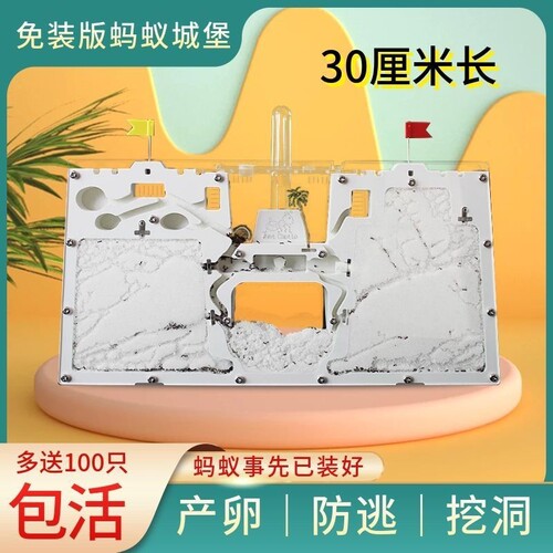 蚂蚁城堡超大型蚂蚁生态箱送蚁后学生观察繁殖版豪华的蚁巢窝工坊