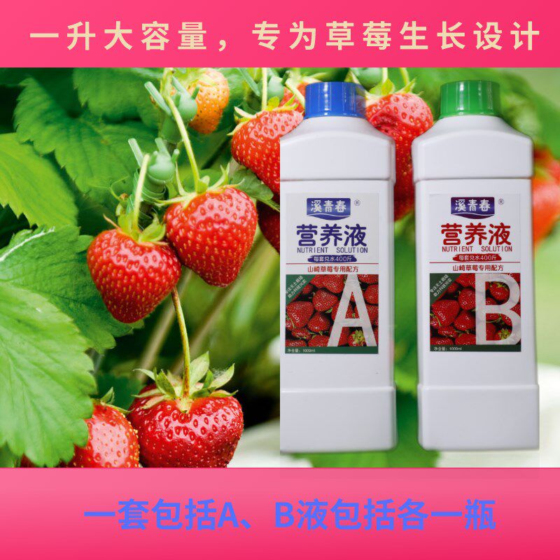 山崎草莓配方浓缩营养液无土栽培土种水养盆栽种植溶液体肥料原液
