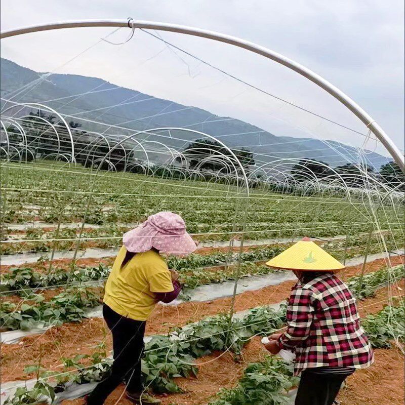 塑钢线大棚专用压膜线高强度养殖丝拉线百香果葡萄架网床托幕绳子