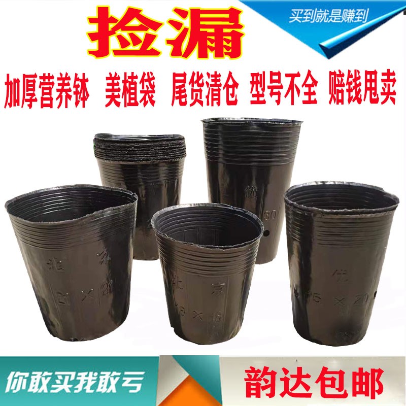 营养钵厂家直销育苗盆一次性塑料农用黑色育秧盆西瓜