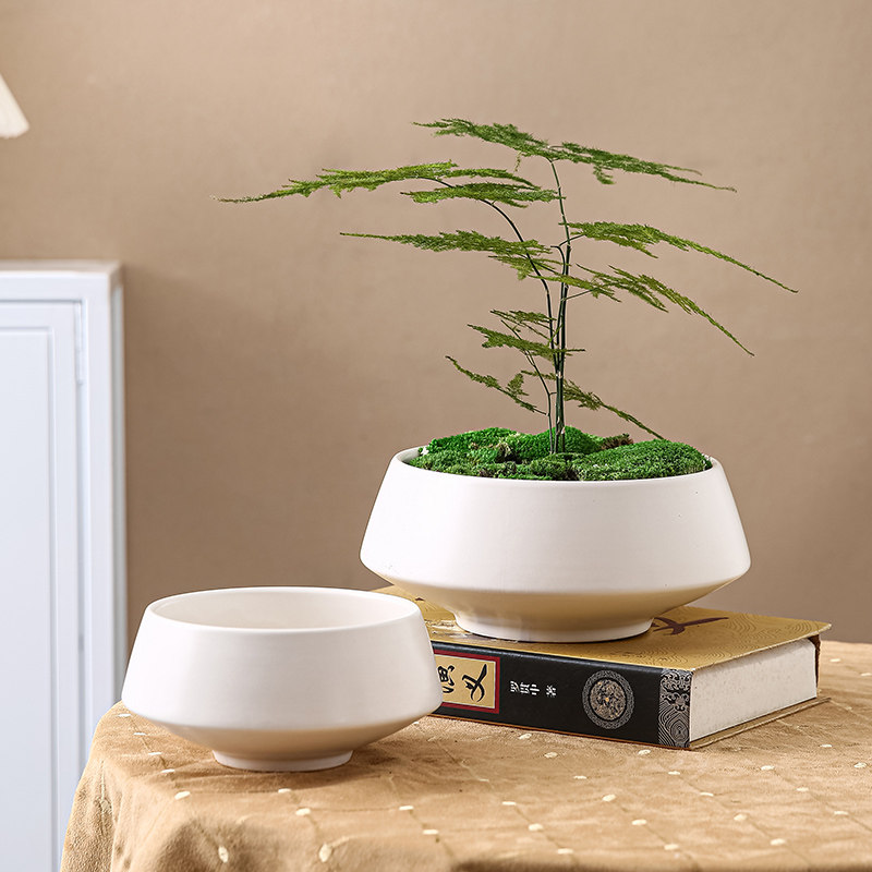 青苔苔藓陶瓷花盆微景观多肉矮浅文竹磨砂黑可水培果盘花卉简约风