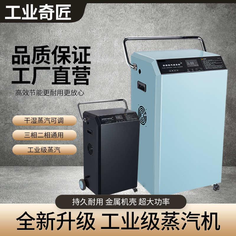 商用大功率蒸汽清洁机 高温高压蒸气机 耐腐型蒸汽清洗机 洗车内