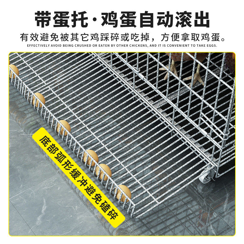 养鸡笼子加粗铁笼家用鸡笼子养殖笼加固蛋鸡特大号笼子宠物笼包邮