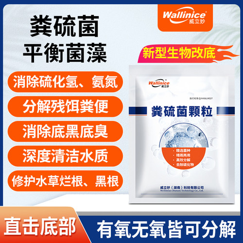 粪硫菌底改颗粒改底除臭