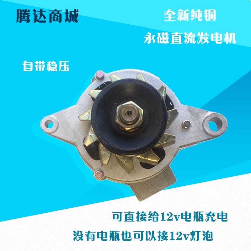 全新纯铜双头时风三轮车农用四轮拖拉机加装12V14V直流发电机包邮