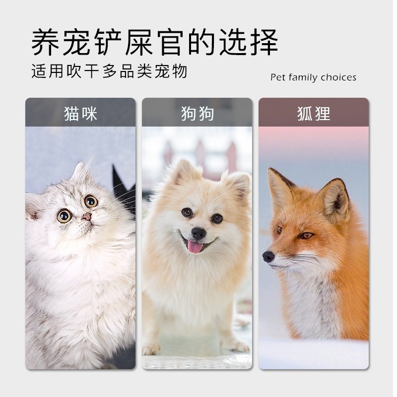 心驰宠物烘干机狗狗全自动家用猫咪洗澡烘干箱吹风吹水机静音神器