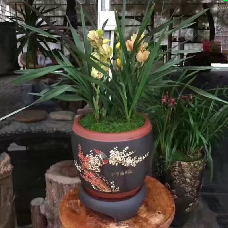 宜兴紫砂花盆陶瓷大号高档客厅惠兰君子兰专用盆精品圆形带底座