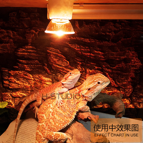 DH迷你爬虫小太阳灯UVAUVB3.0陆龟水龟UVA晒背灯爬宠蜥蜴补钙灯