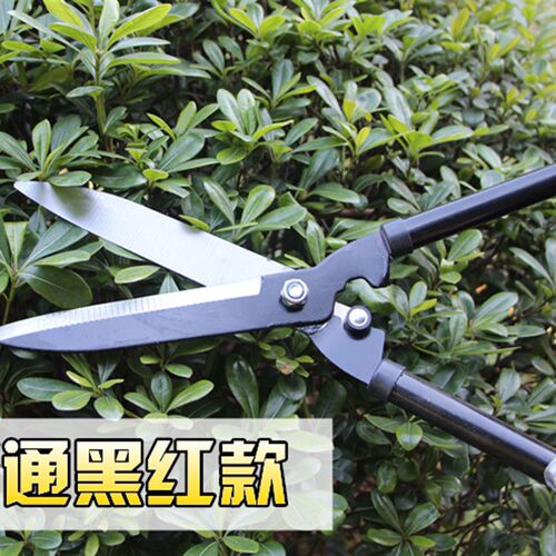 篱笆工具绿篱剪草坪修剪树枝果树园艺剪刀园林修枝剪花剪除草绿化
