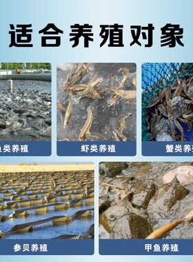 抗应激VC泡腾片水产养殖维生素解毒剂高稳VC鱼虾蟹养殖应激解毒灵