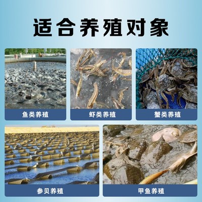 抗应激VC泡腾片水产养殖维生素解毒剂高稳VC鱼虾蟹养殖应激解毒灵