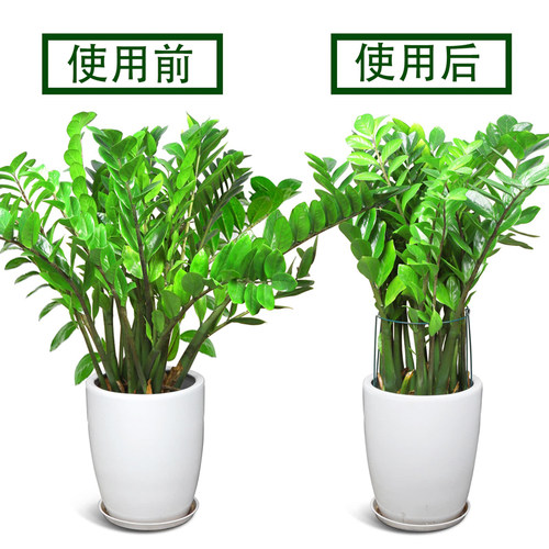 铁艺花支撑架护花架金钱树绣球花卉爬藤植物半圆护叶固定架防倒伏
