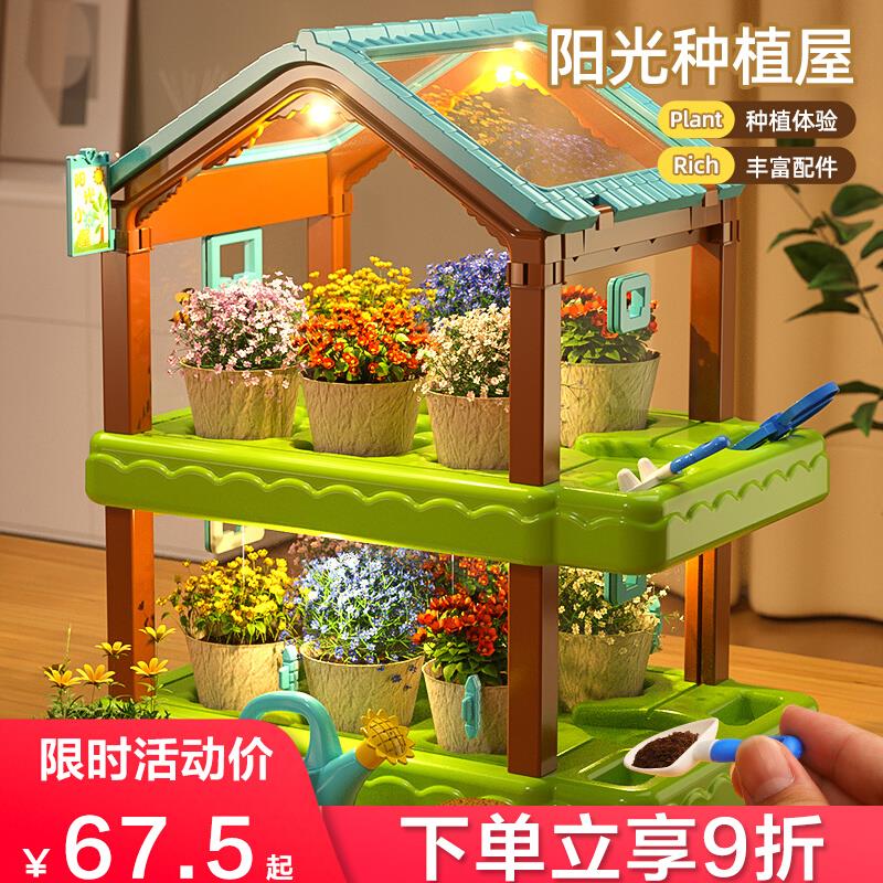 儿童种植迷你小盆栽温室阳台种蔬菜观察生长幼儿园小学生种花植物