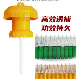 瓜果实蝇粘胶板针蜂信息素粘虫黄板菜园水果园小飞虫粘虫贴英格尔