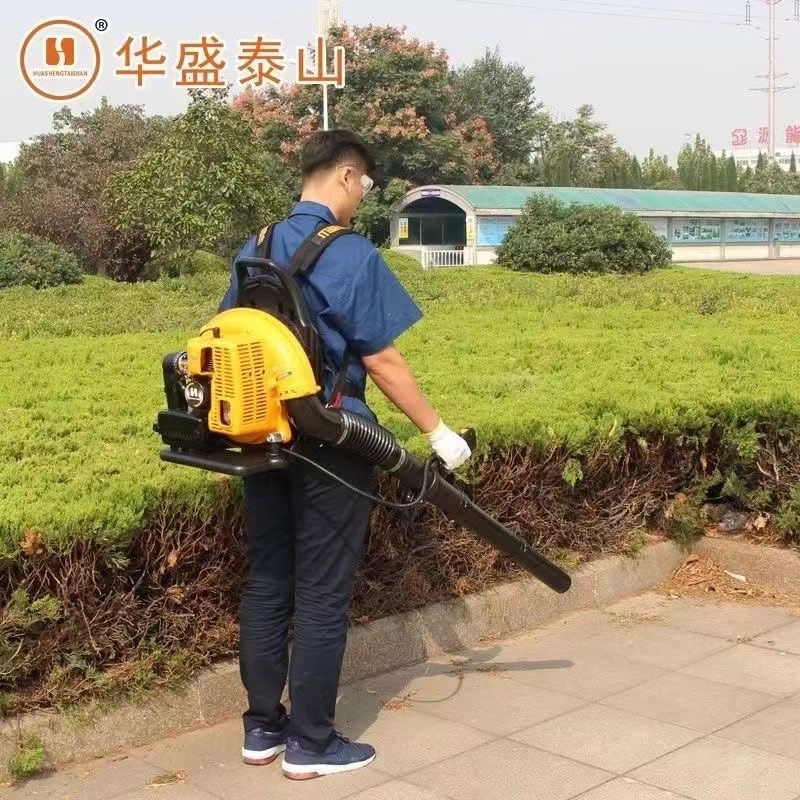 华盛泰山EB-650正品吹风机背负式风力灭火机大棚吹雪机工地除尘