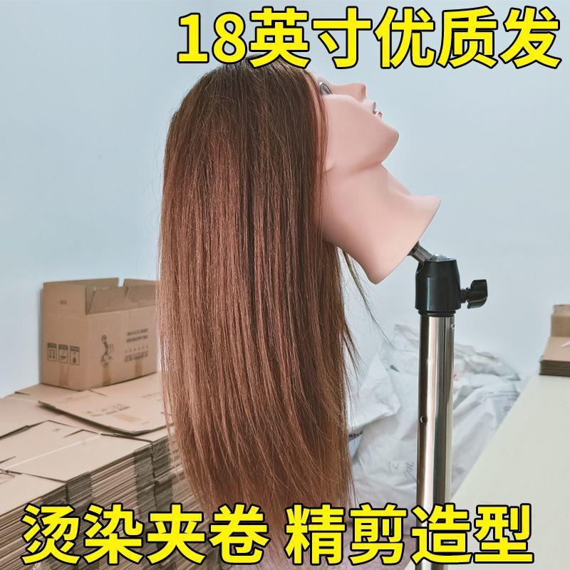 假人模型头发美发模特头学徒练习假人头烫染夹卷精剪造型编盘发