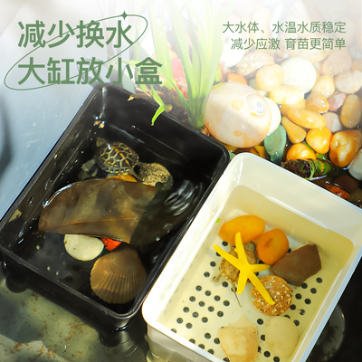 黑色白色小青乌龟发色盒小乌龟苗隔离盒鱼缸黄喉拟水龟幼龟饲养盒