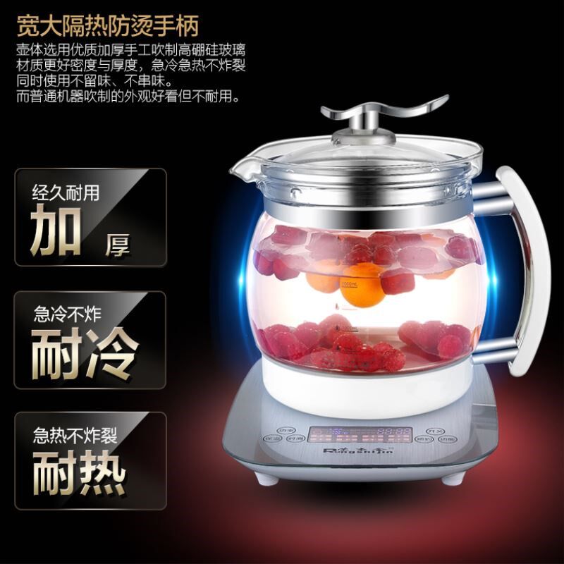 荣事金3升L煮茶药膳壶煎药壶养生壶家用多功能电烧水壶电炖煲汤锅
