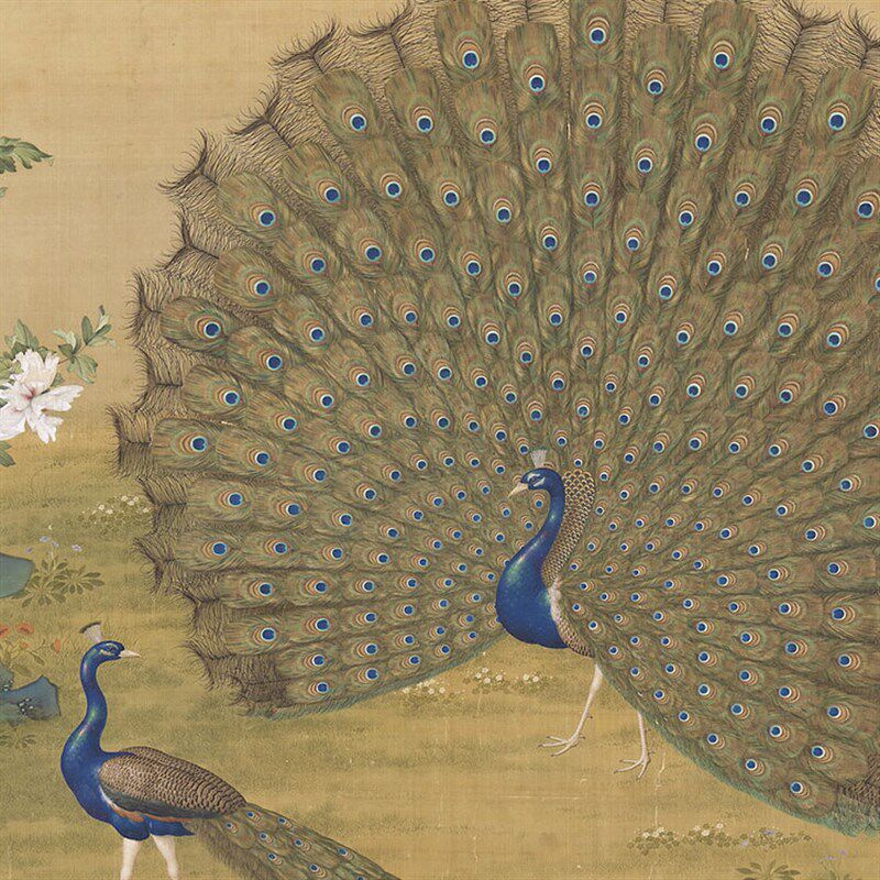 郎世宁孔雀开屏装饰挂画工笔画餐厅玄关吉祥背景新中式有框油画布
