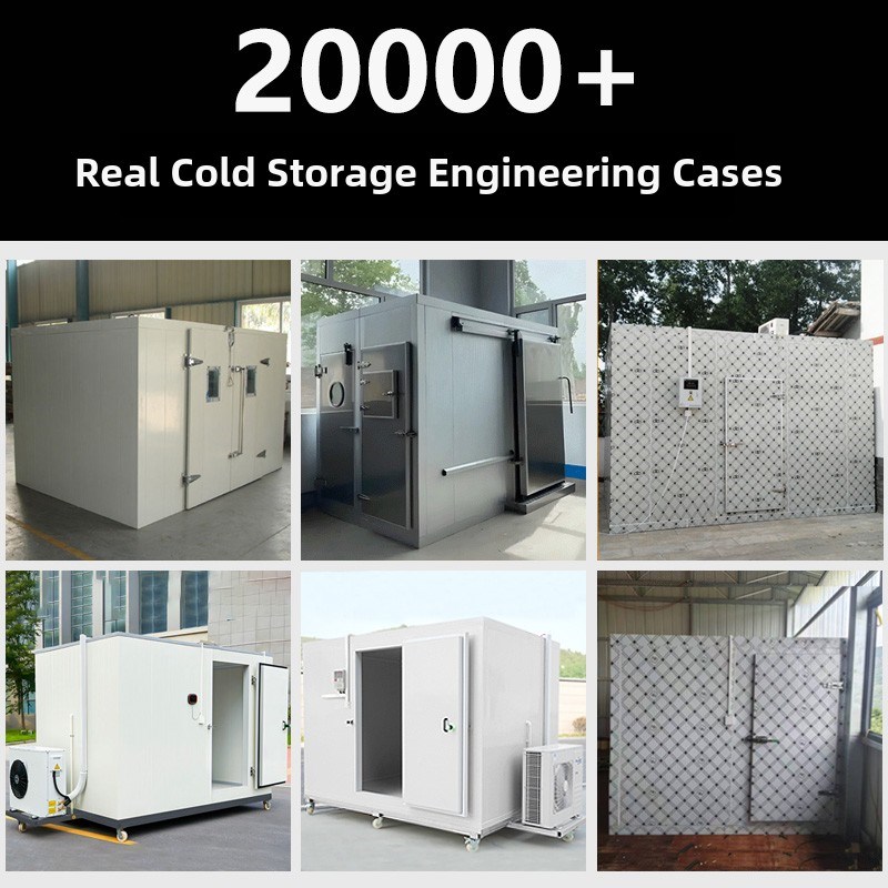 【源头工厂】冷库全套设备小型移动冻库制冷机组220V保鲜冷冻商用