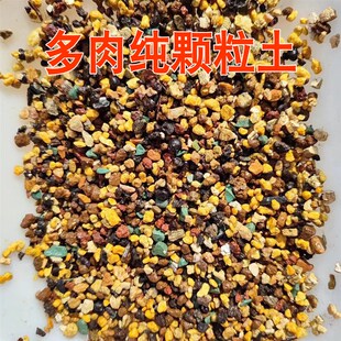 多肉全颗粒土,纯颗粒多肉土,阡陌多肉土精配植料,多肉种植基质