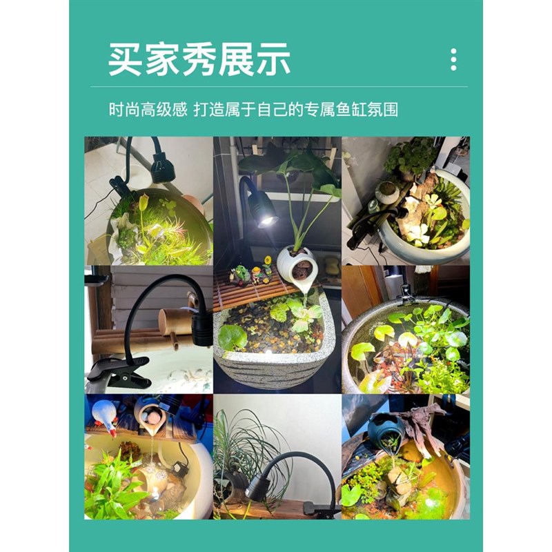 水缸养鱼灯变焦古法鱼陶瓷原生溪流缸补光灯族观赏照明led水草灯