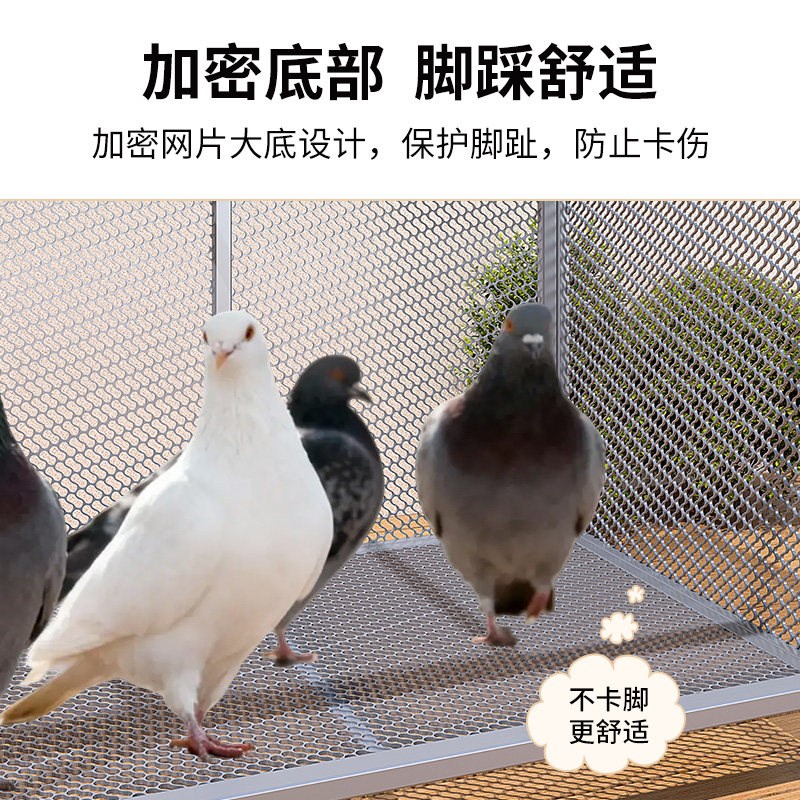 鸽子笼家用特大号自动清粪带厕所宠物养殖专用鸡鸭兔笼繁殖鸟笼子