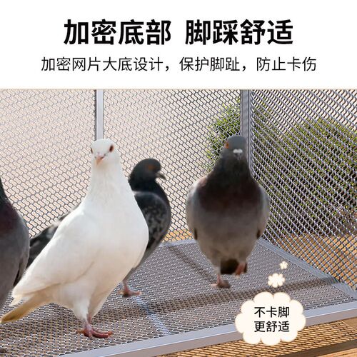 鸽子笼家用特大号自动清粪带厕所宠物养殖专用鸡鸭兔笼繁殖鸟笼子