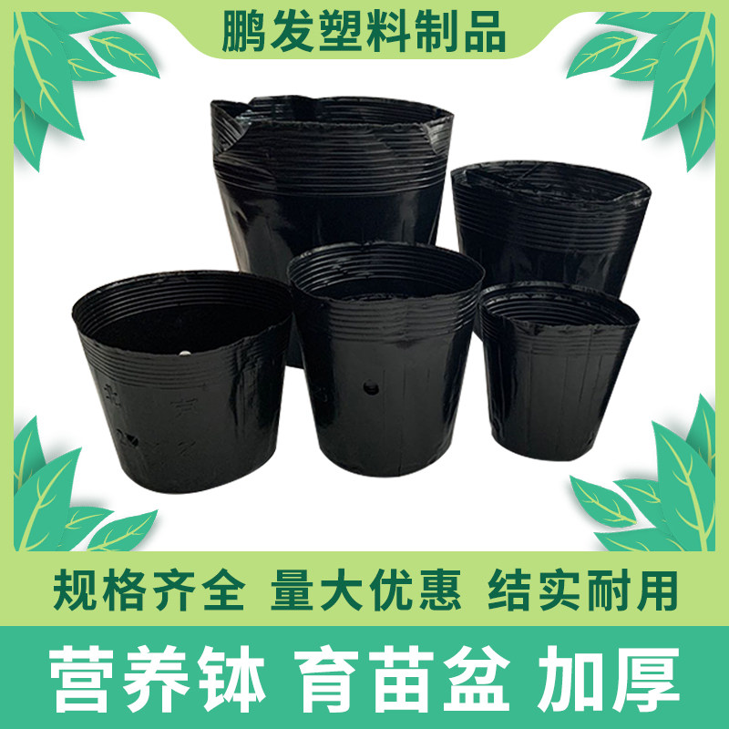 营养钵营养杯塑料育苗杯花盆一次性营养袋果树育苗袋育苗盆大加厚