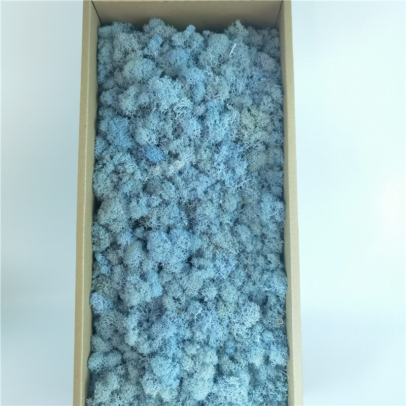 永生花花材材料包diy干花装饰墙植物墙永生苔藓盒装500克