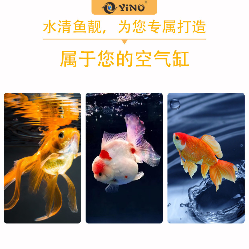 壹诺金鱼锦鲤专用硝化细菌鱼缸用净水剂除藻水混水黄腥臭消化细菌