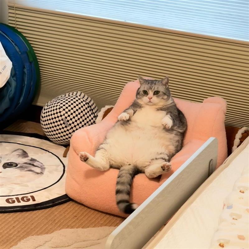 宠物猫狗窝沙发家用四季通用可拆洗迷你睡觉床用品可躺保暖睡垫小