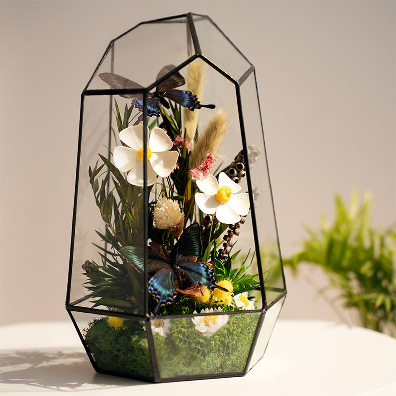 永生苔藓微景观玻璃花房成品植物标本摆件生态植物迷你缸